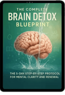 NeuroVera Bonus 1: The Complete Brain Detox Blueprint